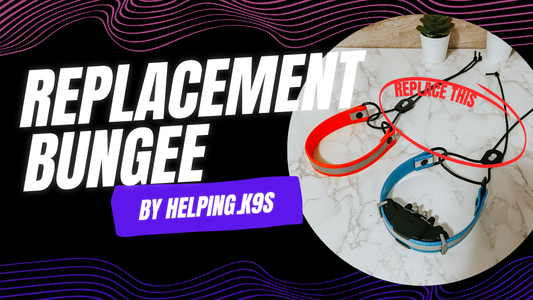 INSTALLING THE BUNGEE E COLLAR REPLACEMENTS