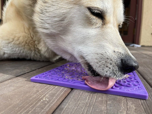 The Surprising Benefits of SodaPup Lick Mats for Your Dog