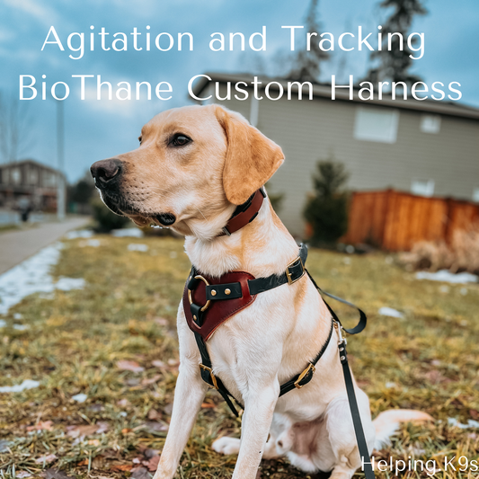 BioThane® Agitation & Tracking Dog Harness – Waterproof Working Dog Harness with Handle, 1" Wide, Handmade in USA