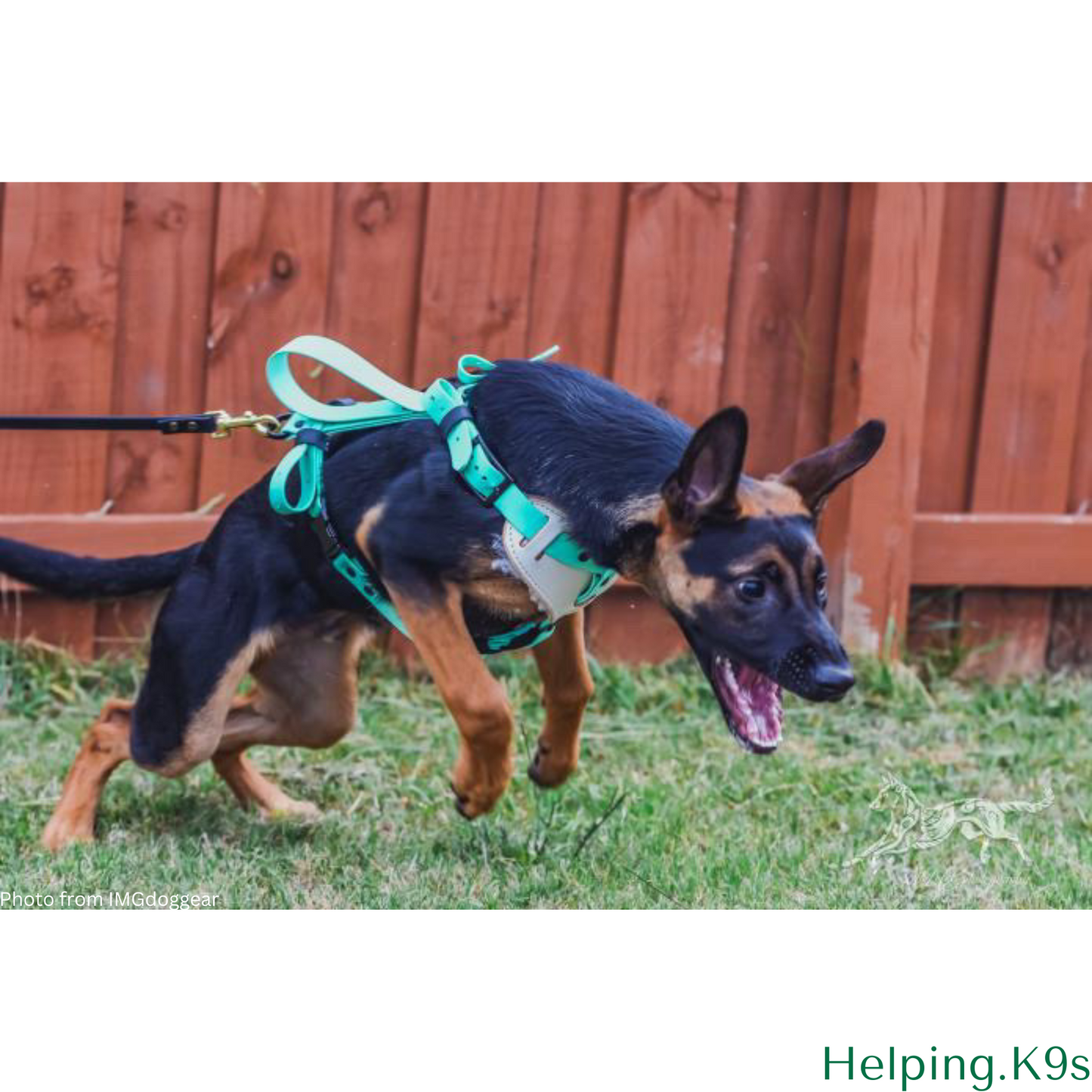 BioThane® Agitation & Tracking Dog Harness – Waterproof Working Dog Harness with Handle, 1" Wide, Handmade in USA