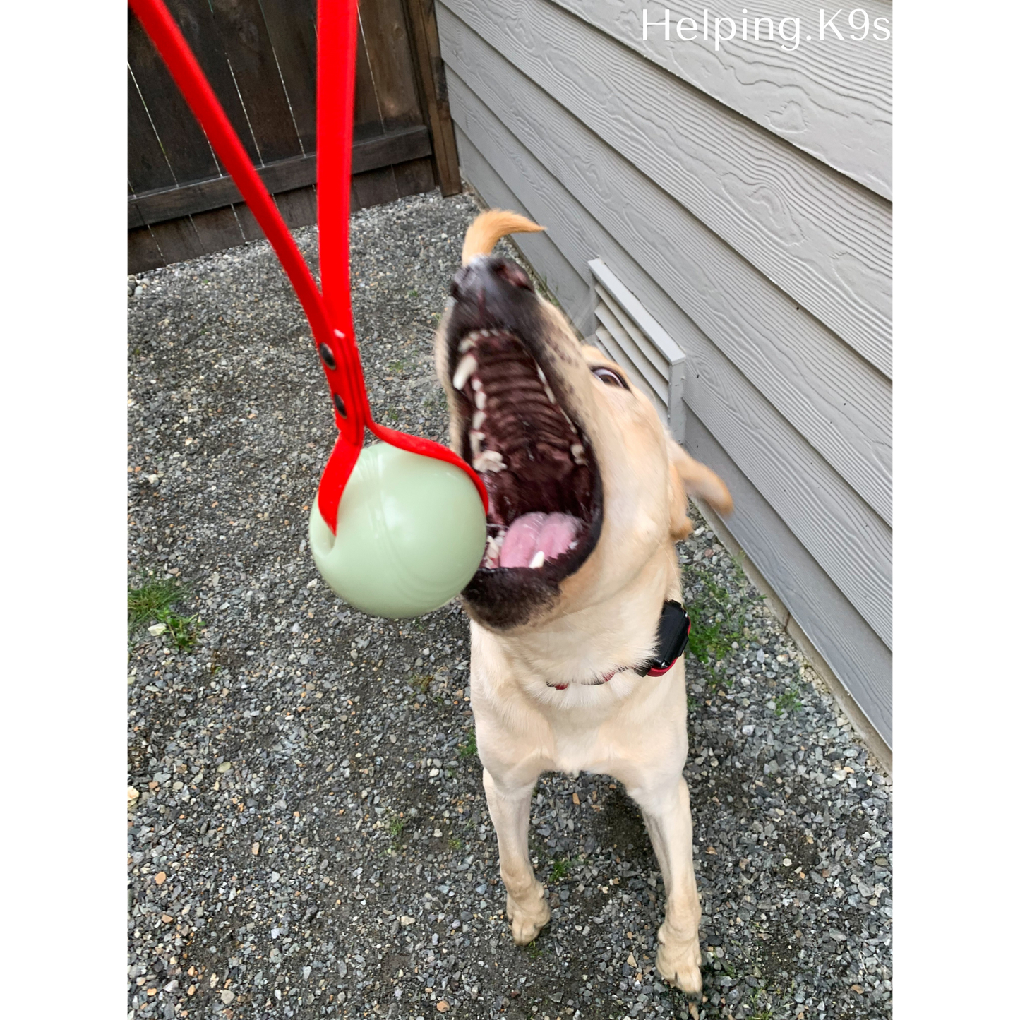 Ball on BioThane® Tug Toy – Dog Engagement & Reward Toy, Chew King® Ball with BioThane Handle, Waterproof & Durable, Handmade in USA