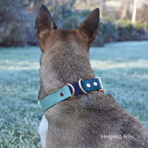 Breakaway BioThane® Dog Collar – 1" Waterproof Safety Collar with Quick Release Buckle, Custom Two-Color Design, Handmade in USA
