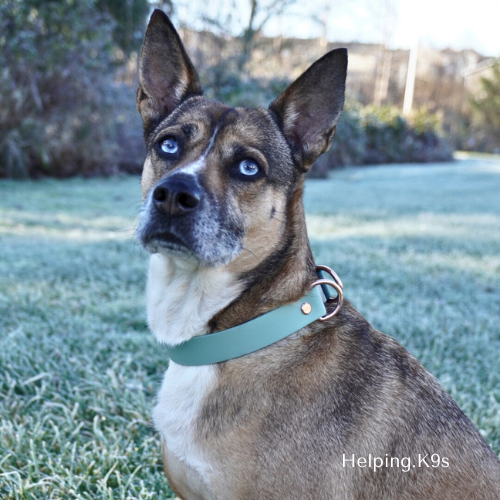 Breakaway BioThane® Dog Collar – 1" Waterproof Safety Collar with Quick Release Buckle, Custom Two-Color Design, Handmade in USA