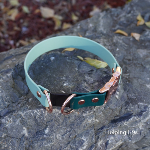 Breakaway BioThane® Dog Collar – 1" Waterproof Safety Collar with Quick Release Buckle, Custom Two-Color Design, Handmade in USA