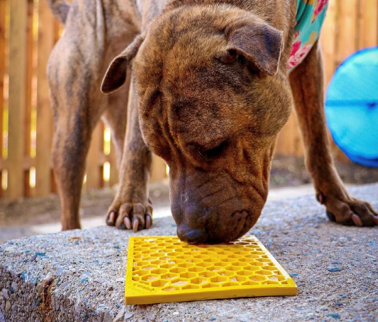 SODA PUP Honeycomb Design Emat Enrichment Lick Mat