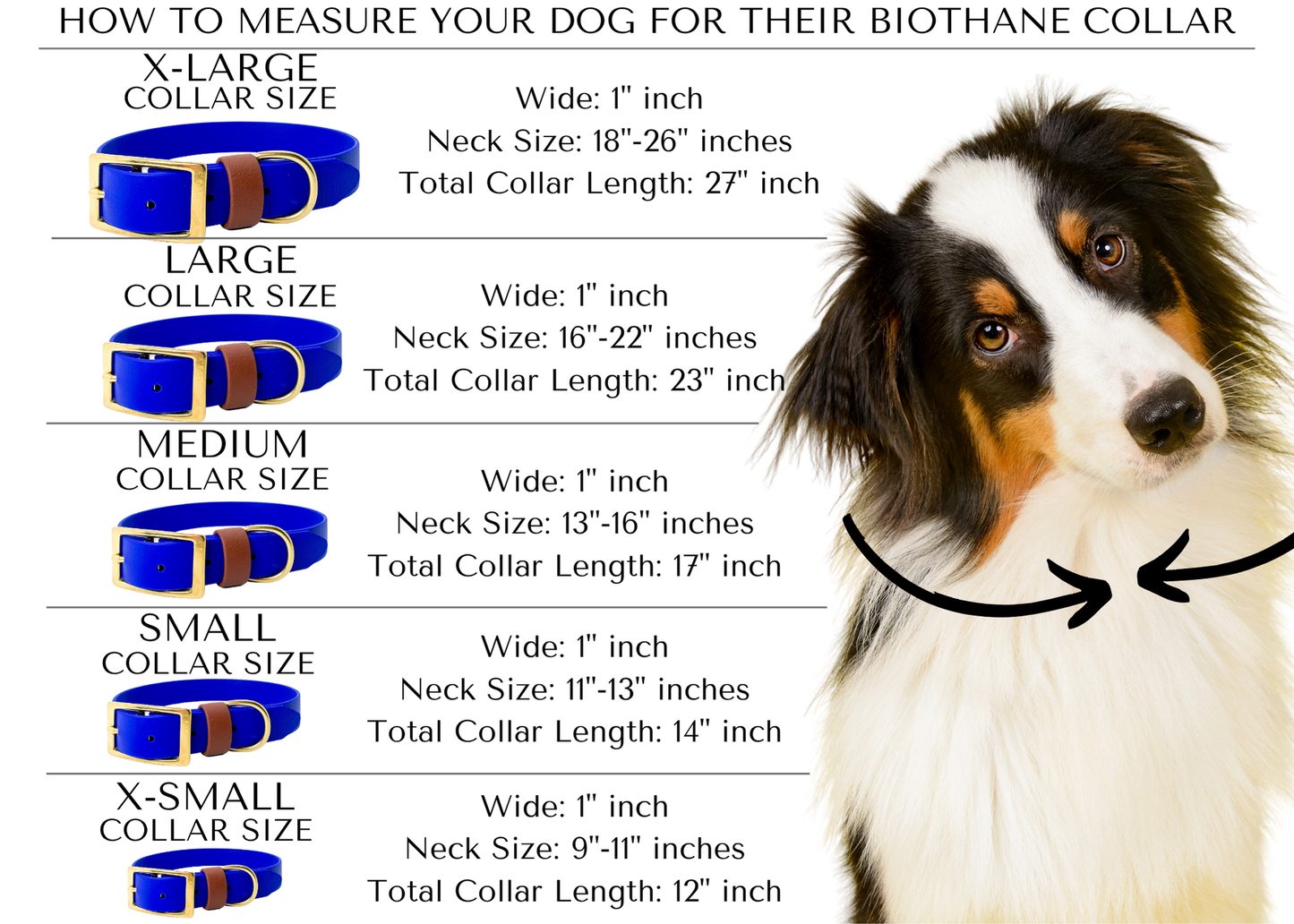 Custom Waterproof BioThane® Dog Collar – Quick Release Metal Buckle, Durable & Odor-Proof – 3/4" or 1" Wide