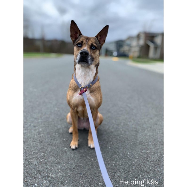 Slip BioThane® Dog Leash – Custom Waterproof Training Leash, 5/8" or 3/4" Wide, Two-Tone Options, Brass Hardware, Handmade in USA
