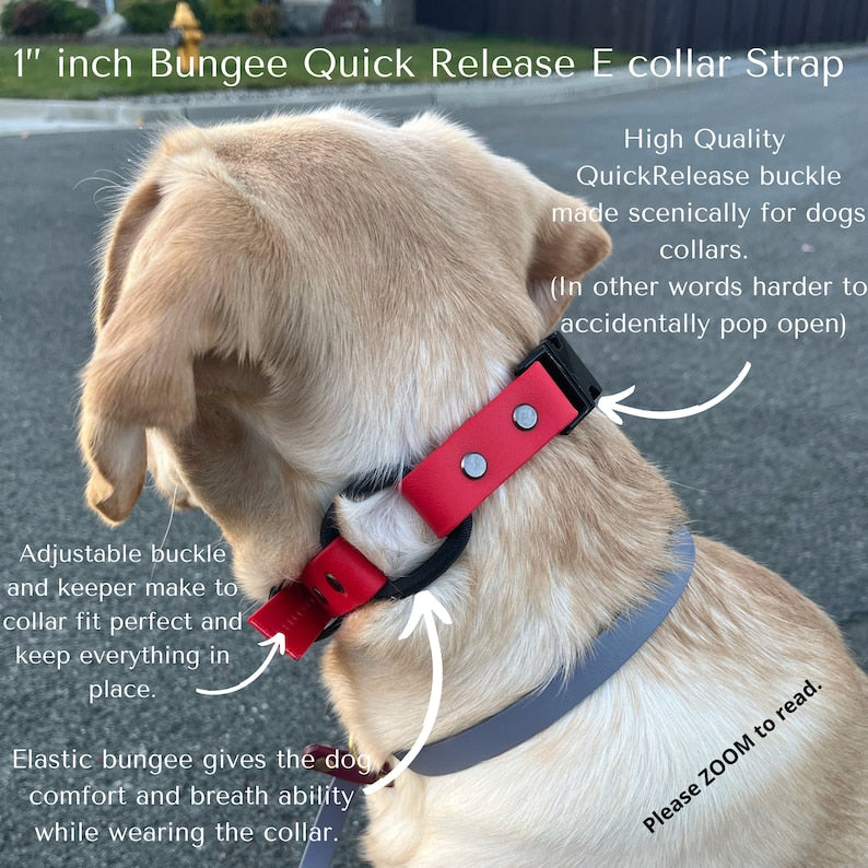 1" Quick Release Bungee E-Collar Strap – BioThane® Replacement for Dogtra, Garmin & E-Collar Technologies, Waterproof & Handmade in USA