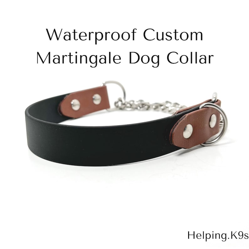 Two-Tone BioThane® Martingale Dog Collar – Custom Waterproof Training Collar with Brass or Stainless Steel Hardware, Handmade in USA