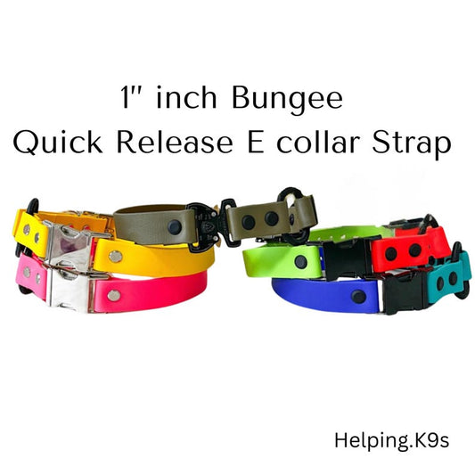 1" Quick Release Bungee E-Collar Strap – BioThane® Replacement for Dogtra, Garmin & E-Collar Technologies, Waterproof & Handmade in USA