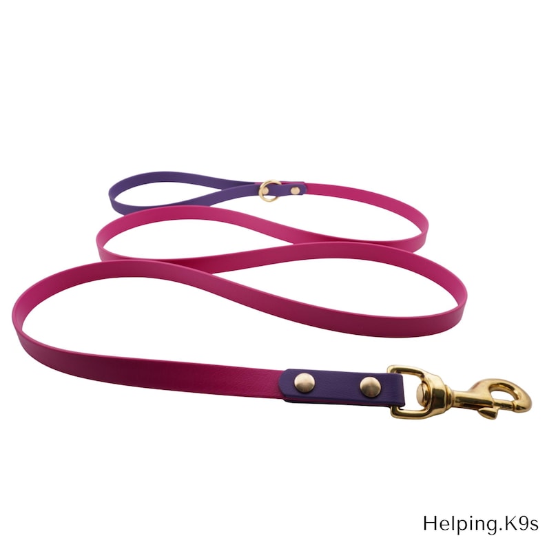 Two-Tone BioThane® Dog Leash – Custom Waterproof & Odor-Proof Leash, 5/8" Wide, Brass Hardware, Handmade in USA