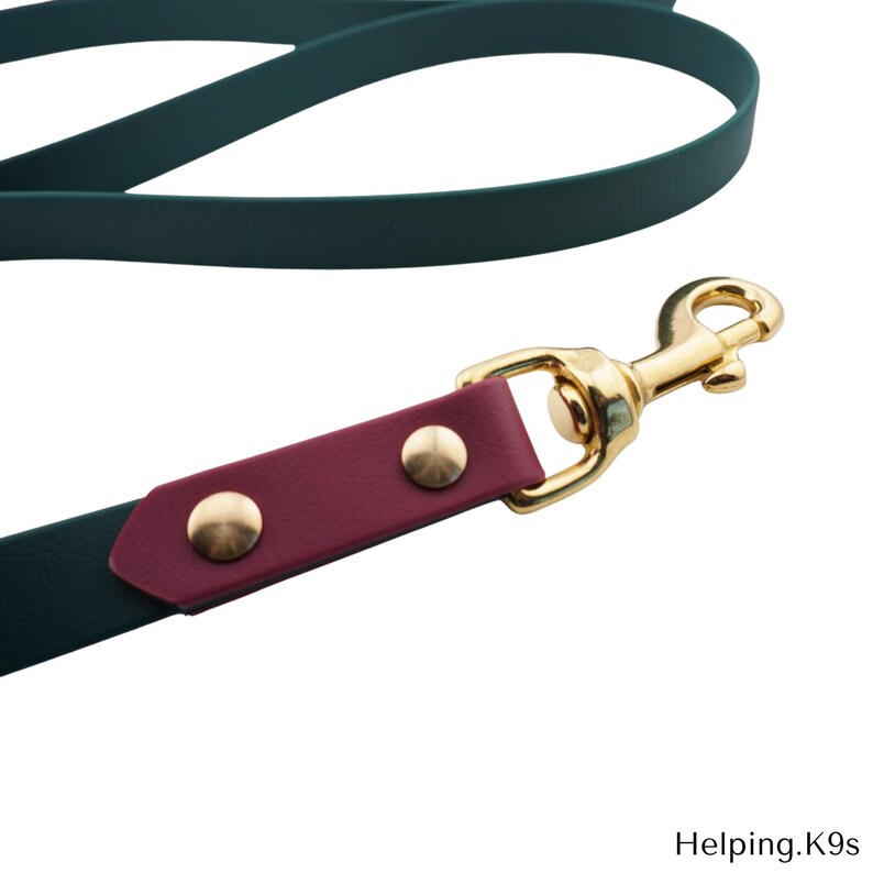 Two-Tone BioThane® Dog Leash – Custom Waterproof & Odor-Proof Leash, 3/4" Wide with Brass Hardware, Handmade in USA