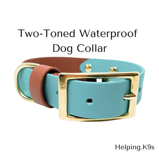 Two-Tone BioThane® Dog Collar – Waterproof, Odor-Proof & Durable Adjustable Collar, Brass Hardware, Handmade in USA