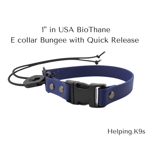 E-Collar Bungee Strap with Quick Release Buckle – 1" BioThane® Replacement Collar for Dogtra, Garmin & E-Collar Technologies, Waterproof & Handmade in USA