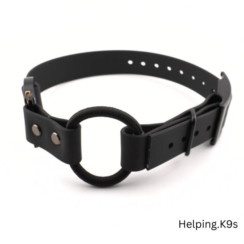 1" Quick Release COBRA® Bungee E-Collar Strap – BioThane® Replacement for Dogtra, Garmin & E-Collar Technologies, Waterproof & Handmade in USA