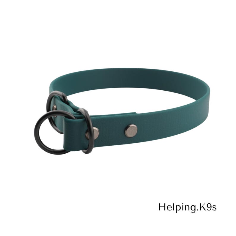 3/4" BioThane® Slip Collar – Waterproof & Odor-Proof Custom Training Collar for Small & Medium Dogs, Brass Hardware, Handmade in USA