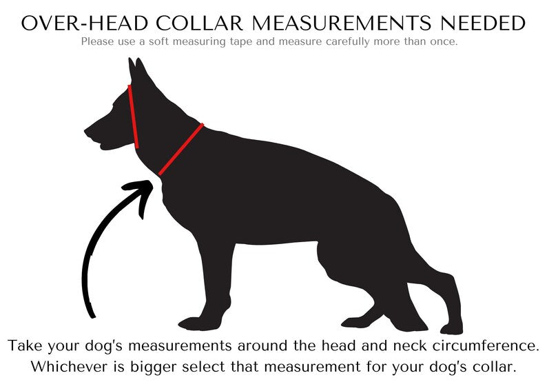 3/4" BioThane® Slip Collar – Waterproof & Odor-Proof Custom Training Collar for Small & Medium Dogs, Brass Hardware, Handmade in USA