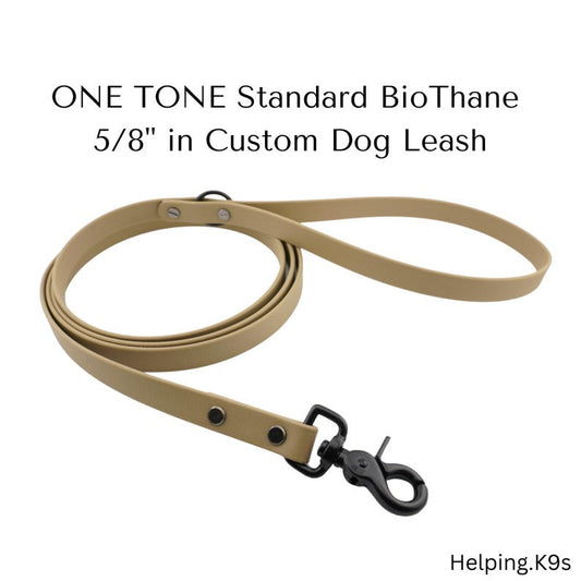 One-Tone BioThane® Dog Leash – Custom Waterproof & Odor-Proof Leash, 5/8" Wide, Brass Hardware, Handmade in USA