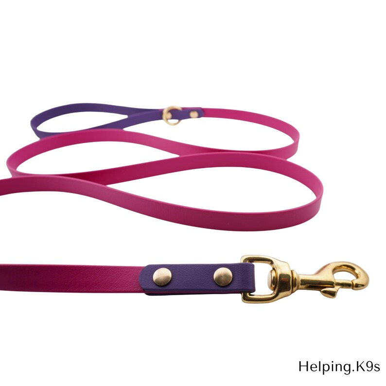 Two-Tone BioThane® Dog Leash – Custom Waterproof & Odor-Proof Leash, 5/8" Wide, Brass Hardware, Handmade in USA