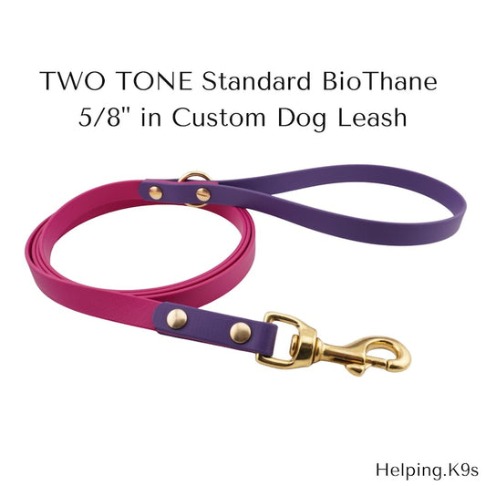 Two-Tone BioThane® Dog Leash – Custom Waterproof & Odor-Proof Leash, 5/8" Wide, Brass Hardware, Handmade in USA