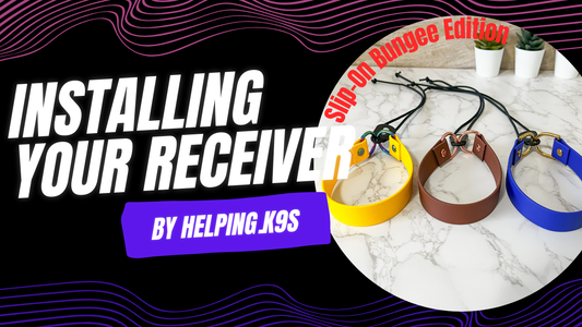 Installing a Ecollar Receiver to the Bungee