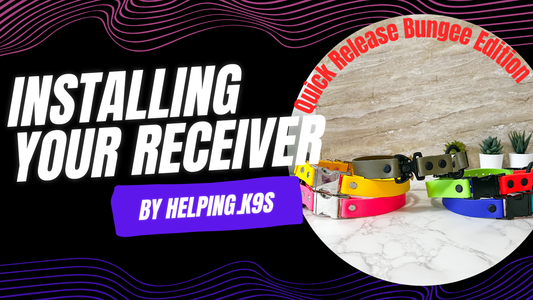 HOW TO INSTALL YOUR E COLLAR RECEIVER TO ANY COLLAR WITH A BUCKLE
