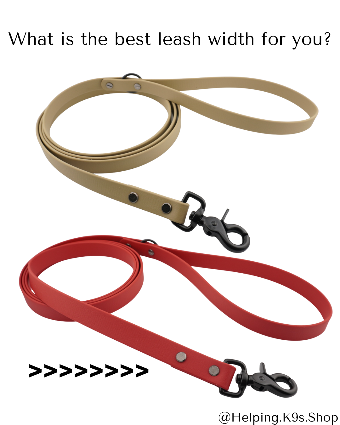 Picking your ideal leash