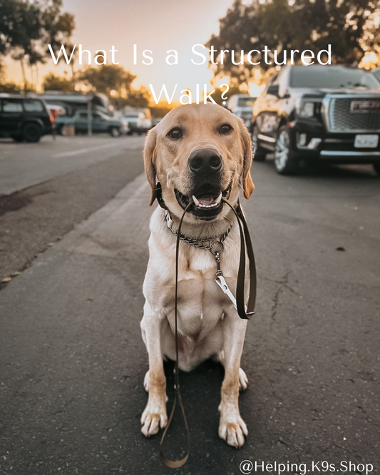 The Power of Structured Walks: Why They Matter & How to Do Them Right