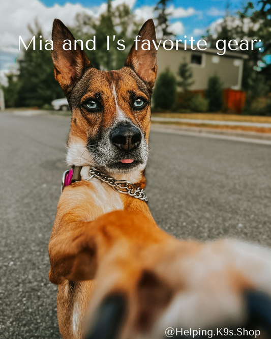 Our personal favorite gear