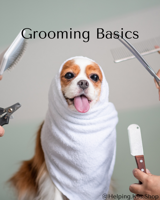 The Bare Bones of Dog Grooming Basics: What Every Owner Should Know