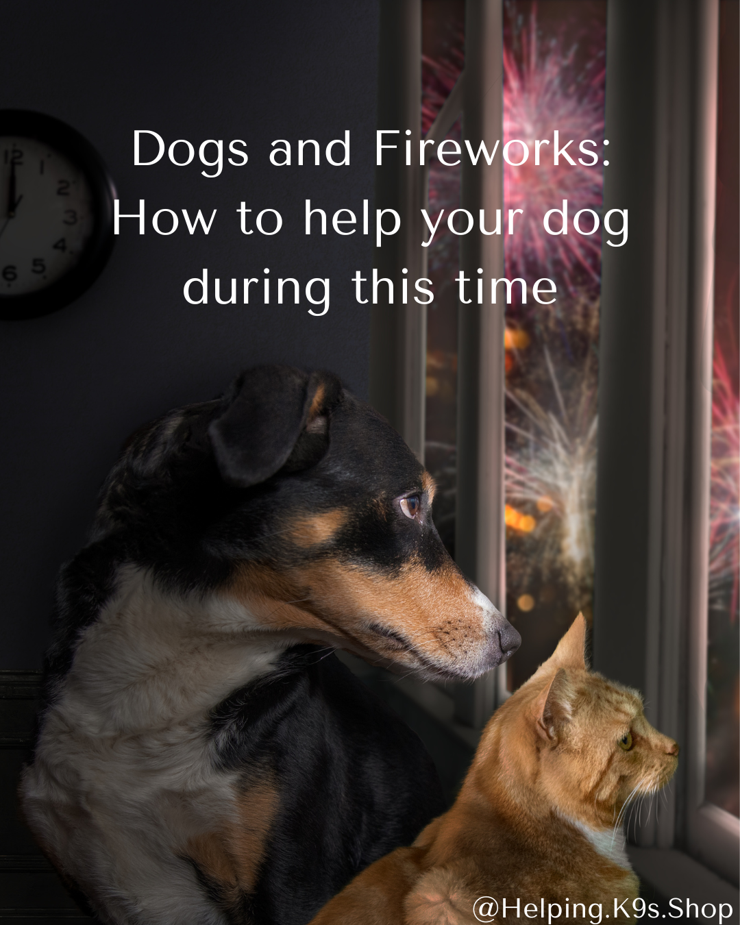 How to Help Dogs During Fireworks: Keeping Your Dog Safe, Calm, and Comfortable