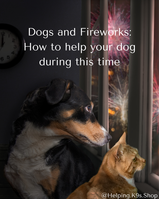 How to Help Dogs During Fireworks: Keeping Your Dog Safe, Calm, and Comfortable