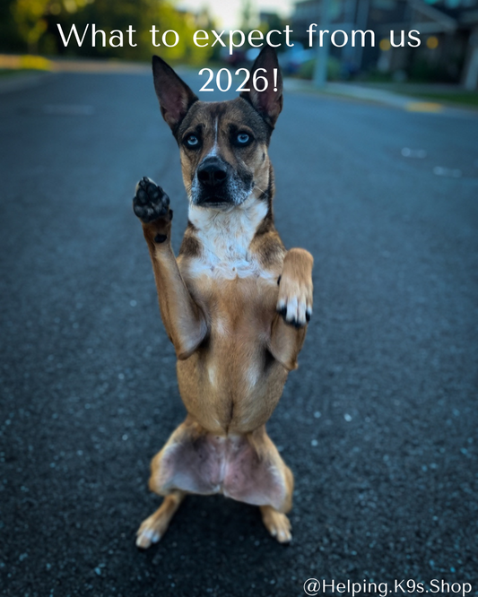 What to expect from us 2026