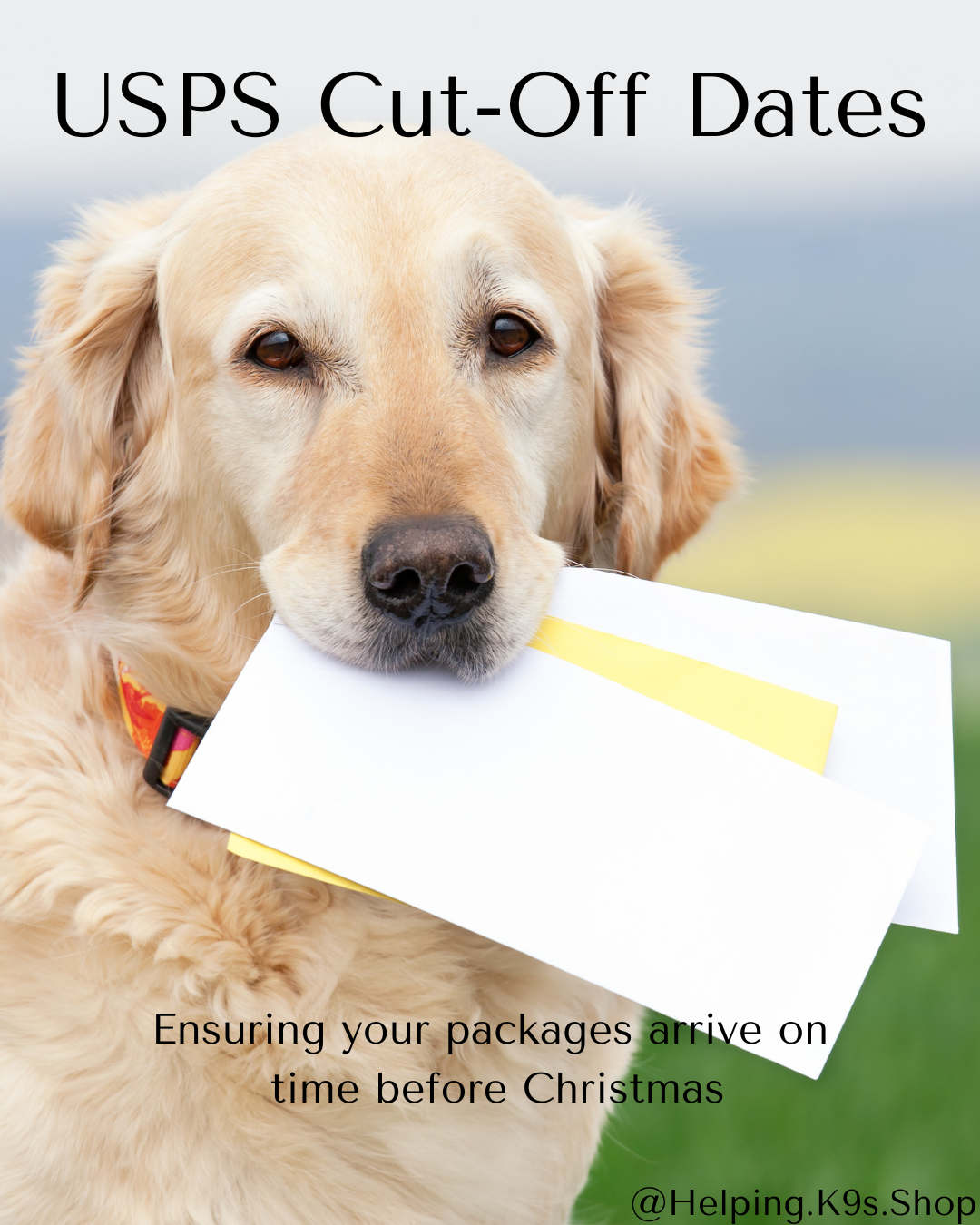 2025 Holiday Shipping Cut-Off Dates: Make Sure Your Gifts Arrive on Time