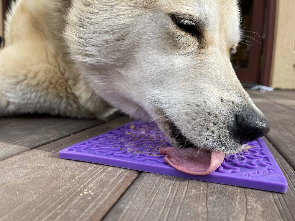 The Surprising Benefits of SodaPup Lick Mats for Your Dog