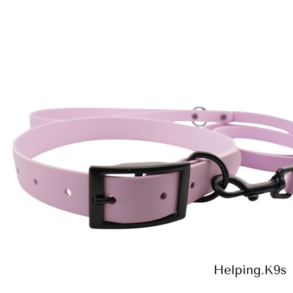 Waterproof Dog Collar & Leash Set – BioThane® Package Deal, One-Tone Custom Colors, Durable & Vegan, Handmade in USA