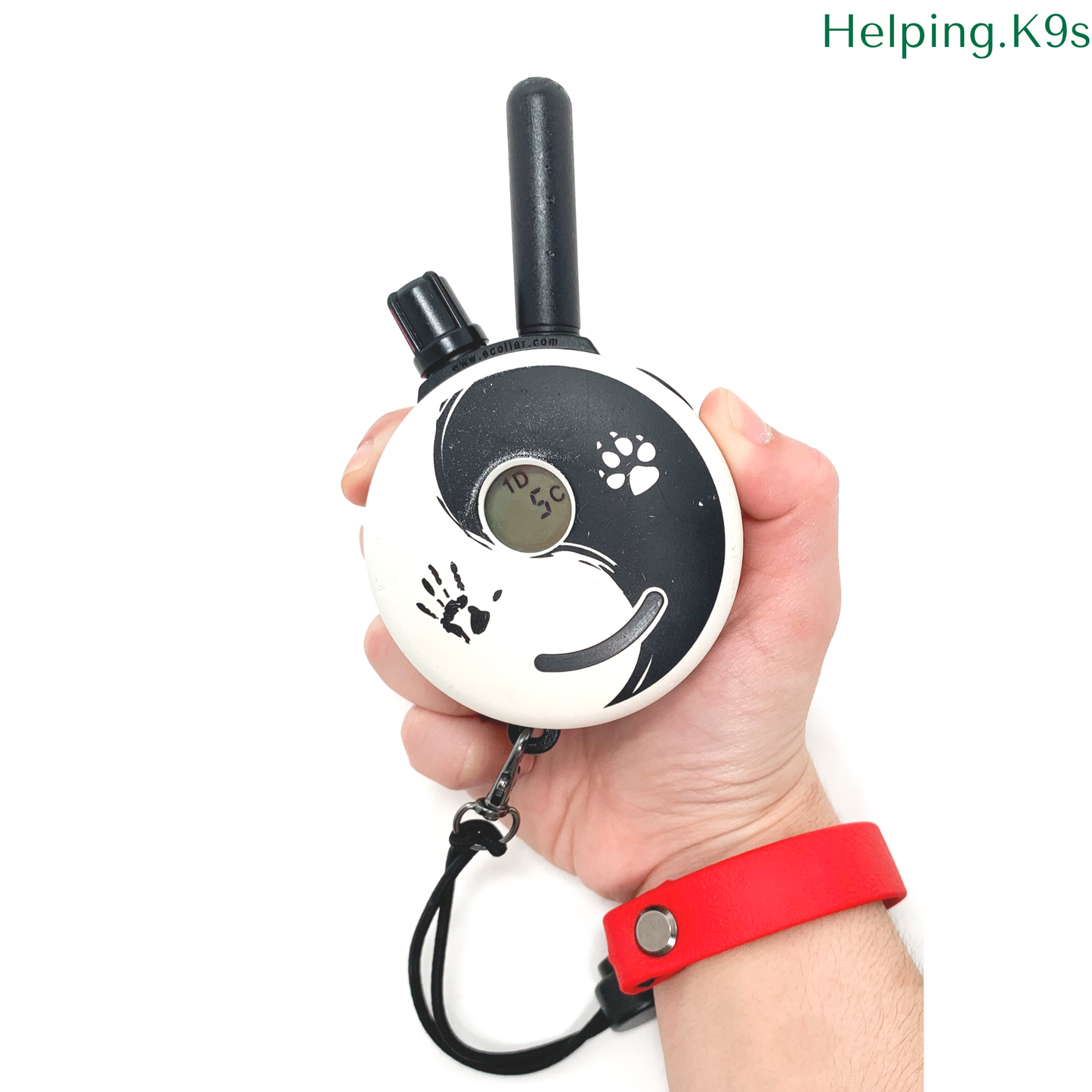 Adjustable Biothane Bungee Wrist Strap for Ecollars, E Collar Technologies, Dogtra, Garmin, Sport Dog Wrist Strap