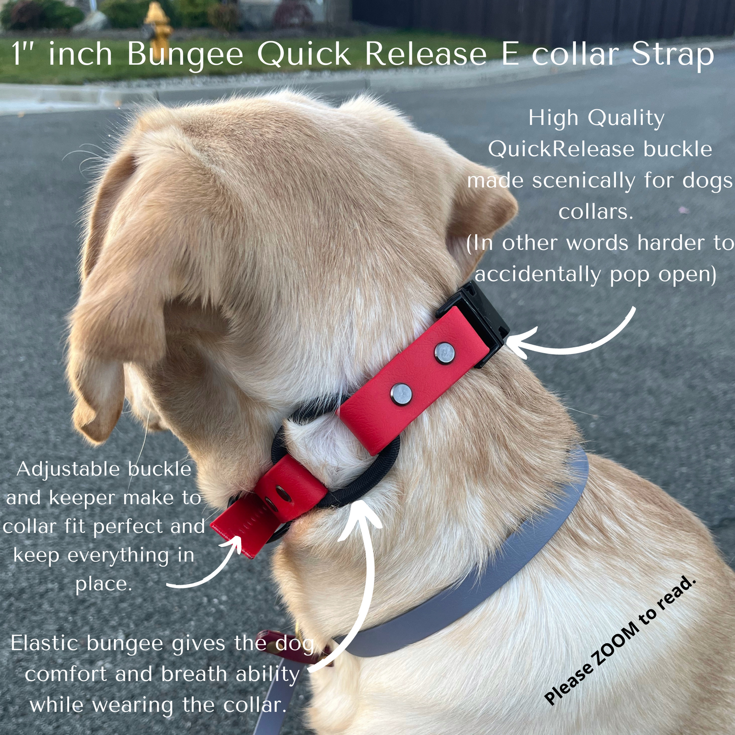 1" inch Quick Release Bungee E collar, USA BioThane, for Dogtra, Garmin, E collar Technologies and more