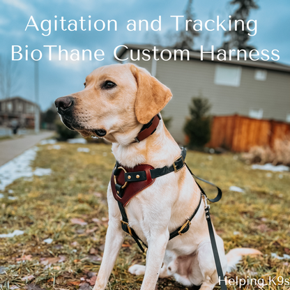 Agitation and Tracking Custom USA BioThane® Harness