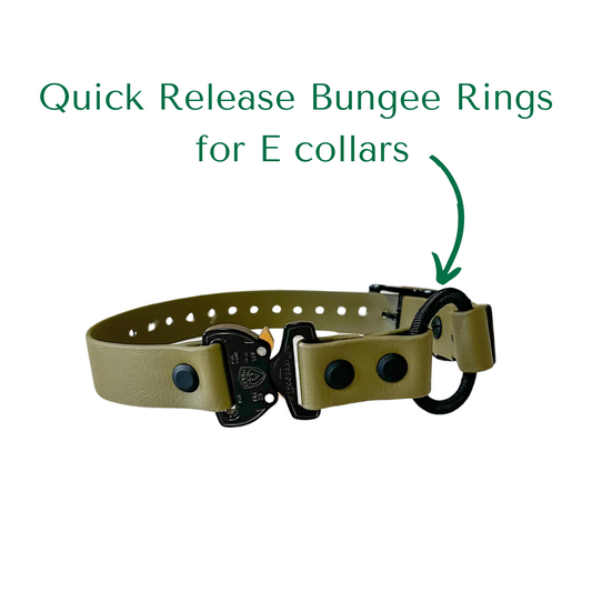 Quick Release Bungee Rings for E collars