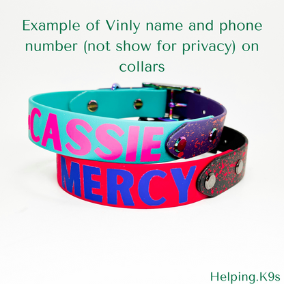 Vinly Lettering Desing Leash or Collar Add On