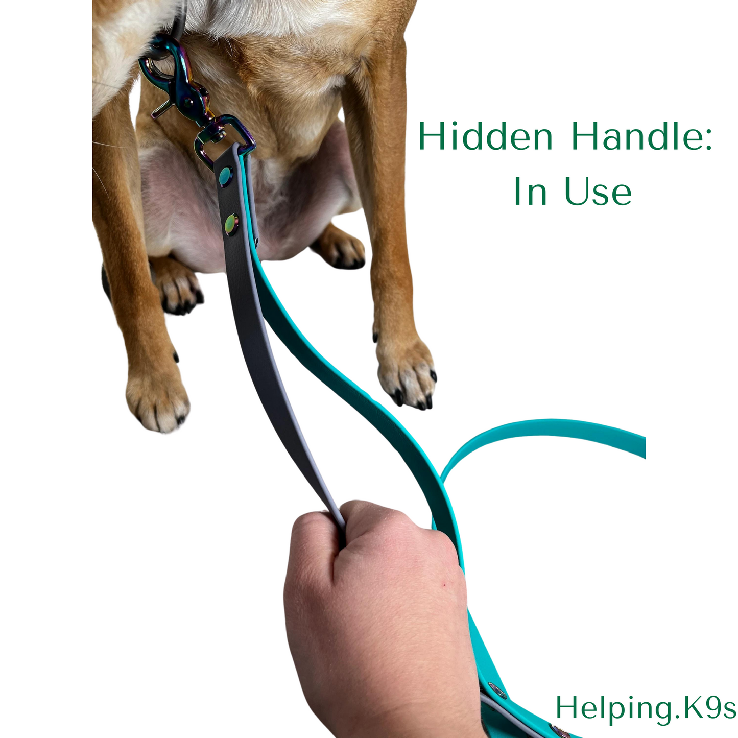 Leash HANDLE Add-On