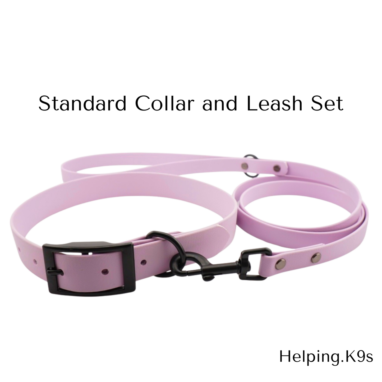 Waterproof Dog Collar & Leash Set – BioThane® Package Deal, One-Tone Custom Colors, Durable & Vegan, Handmade in USA