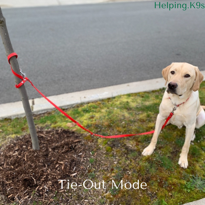 6-in-1 Handsfree Adjustable Multipurpose Waterproof All in One Leash, 5/8" in BioThane, Service Dog Leash, Custom Leash