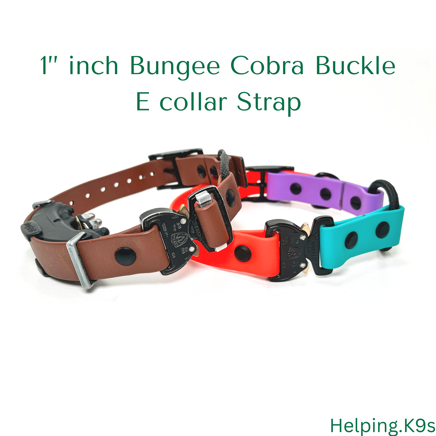 Dogtra quick release collar best sale
