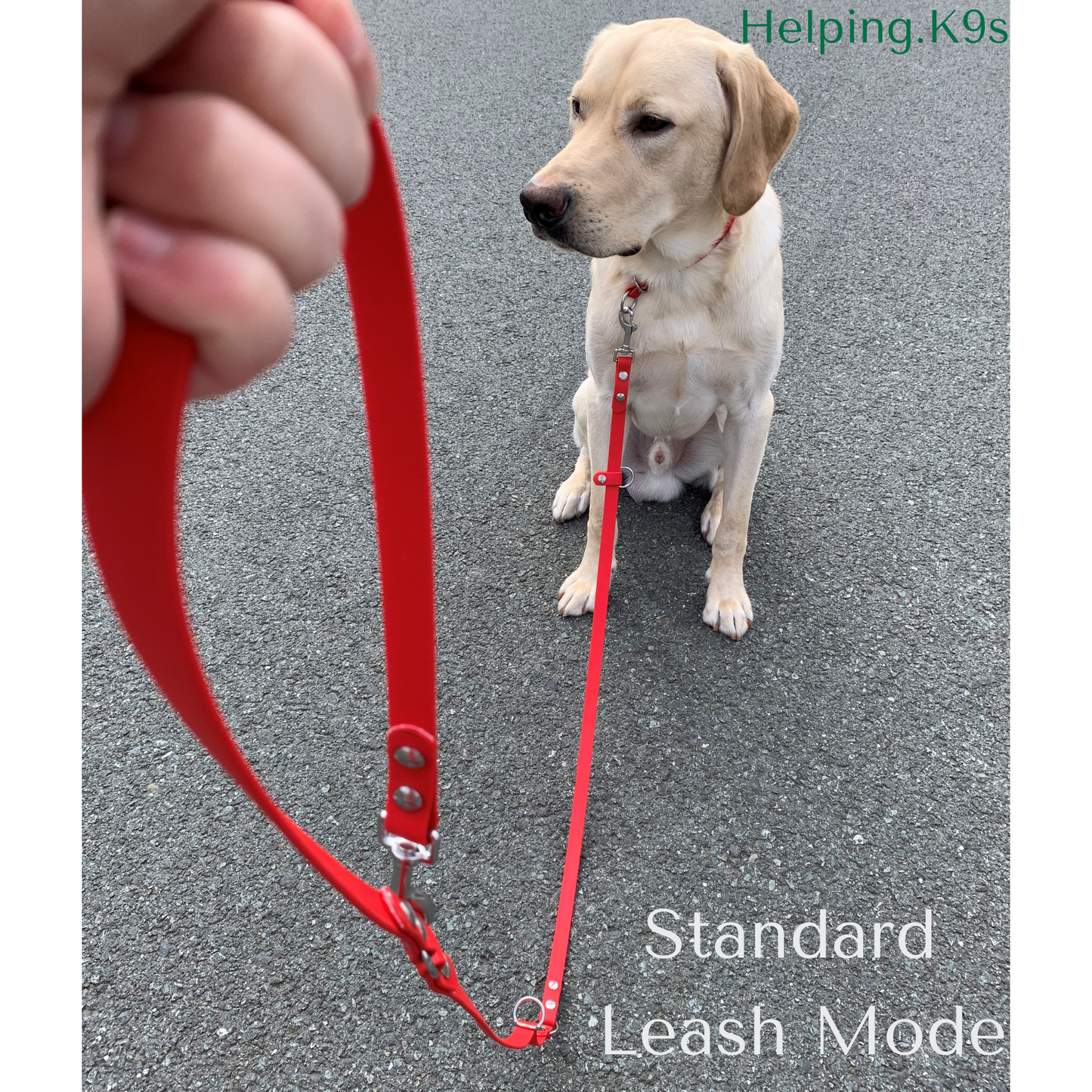 6-in-1 Handsfree Adjustable Multipurpose Waterproof All in One Leash, 5/8" in BioThane, Service Dog Leash, Custom Leash
