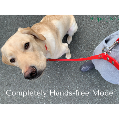 6-in-1 Handsfree Adjustable Multipurpose Waterproof All in One Leash, 5/8" in BioThane, Service Dog Leash, Custom Leash