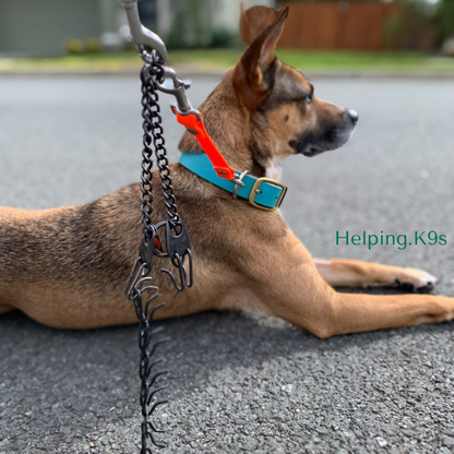 Prong Catch, Prong Collar Safety Clip, Harness Catch, Backup Connector, Safety Clip, USA Biothane
