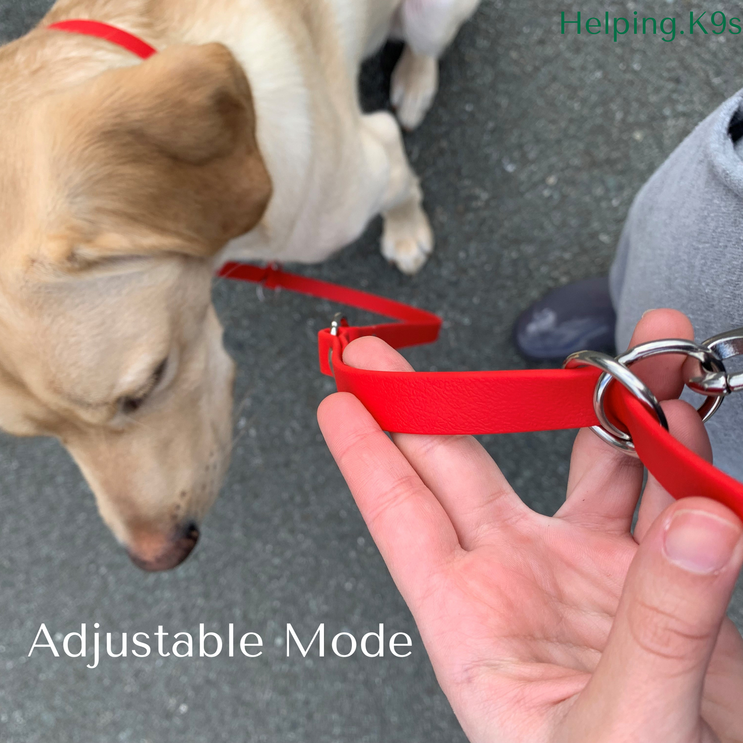 6-in-1 Handsfree Adjustable Multipurpose Waterproof All in One Leash, 5/8" in BioThane, Service Dog Leash, Custom Leash