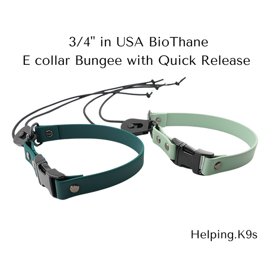 E collar Bungee Collar with Quick Release Buckle, Fits 3/4" inch for Dogtra, Garmin, E collar Technologies, Waterproof Collar, USA BioThane